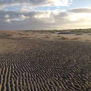 Naturschutzgebiet