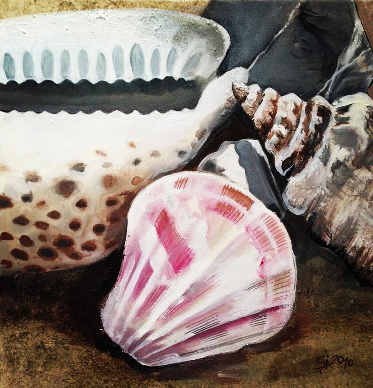 Stilleben – Strandgut: Muscheln und Meer Stilleben – Strandgut: Muscheln und Meer