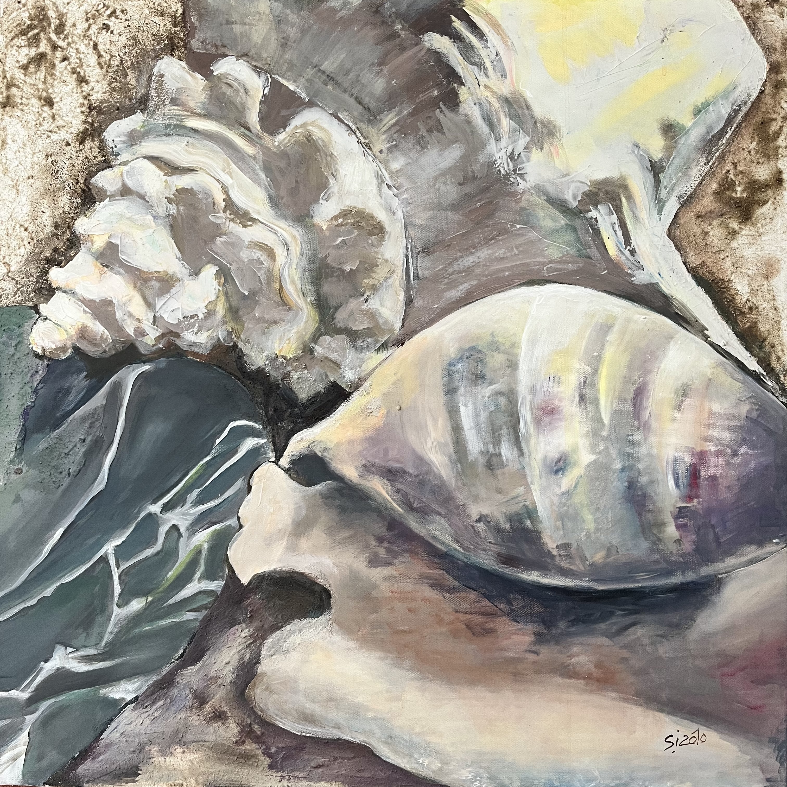 White - Sunny Shells